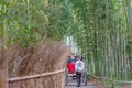Pulled rickshaw riding tourists through a bamboo forest path at Arashiyama, Kyoto