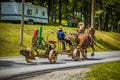Pulling Plow on Road with Horses Royalty Free Stock Photo