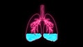 Pulmonary Edema in holographic is a condition caused by abnormal fluid in the alveoli. Resulting in patients