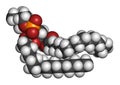 Pulmonary surfactant molecule. Chemical structure of dipalmitoylphosphatidylcholine DPPC the major constituent of lung. Royalty Free Stock Photo