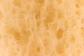 Pulp of bread Texture background Royalty Free Stock Photo