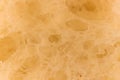 Pulp of bread Texture background Royalty Free Stock Photo