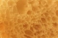 Pulp of bread Texture background Royalty Free Stock Photo