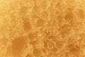 Pulp of bread Texture background Royalty Free Stock Photo