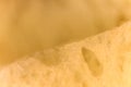 Pulp of bread Texture background. Slice section. Corner Royalty Free Stock Photo