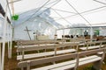 Pulpit, cross and benches at a tent revival