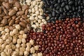 Pulses