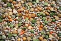 Pulses. Royalty Free Stock Photo