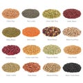 Pulses Collection with Titles Royalty Free Stock Photo