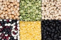 Pulses food background, assortment - legume, kidney beans, peas, lentils in square cells closeup top view.