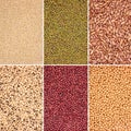 Pulses Selection Royalty Free Stock Photo