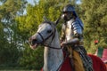 portrait of a Polish hussar in armour