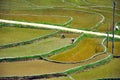 Beautiful PuLuong rice terraces