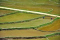 Beautiful PuLuong rice terraces