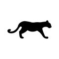 Puma black sign icon. Vector illustration eps 10 Royalty Free Stock Photo