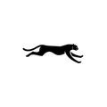 Puma cheetah logo icon designs vector