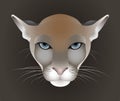 Puma, cougar vector portrait isolated on dark background Royalty Free Stock Photo