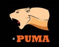 Puma Head. Elegant Bold muscular cougar Royalty Free Stock Photo