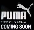 Puma logo Royalty Free Stock Photo