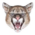 Puma polygonal portrait