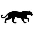 Puma walking design Royalty Free Stock Photo