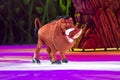 Pumbaa from Lion King