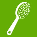 Pumice icon green