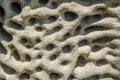 Pumice, Lava rock Stone texture full of holes and abstract pattern.