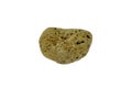 A pumice rock stone isolated on white background.
