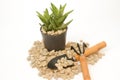 Pumice pebbles in cray pot and gardening tool