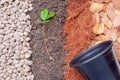 Pumice pebbles ,Volcanic rock, Dry leaves ,Coconut coir ,Soil and Young plant with Black plastic pot Royalty Free Stock Photo