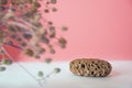 Pumice stone close up and copy space. Pumice stone 3d on a pink background and dry plants. Beauty concept. Background for cosmetic