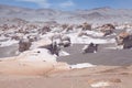 The pumice stone field at the Puna de Atacama, Argentina