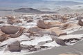 The pumice stone field at the Puna de Atacama, Argentina