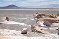 The pumice stone field at the Puna de Atacama, Argentina