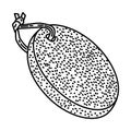 Pumice stone Icon. Doodle Hand Drawn or Outline Icon Style