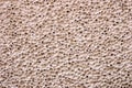 Pumice stone (Texture) Royalty Free Stock Photo