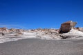 Pumice stones at Campo de Piedra Pomez, Catamarca, Argentina