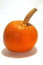 Pumkin Royalty Free Stock Photo