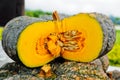 Pumkin Royalty Free Stock Photo