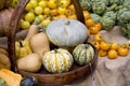 Pumkin in basket. Royalty Free Stock Photo