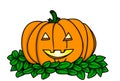 Pumkin head Royalty Free Stock Photo