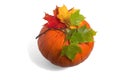 Pumkin isolated With Leaf And Drop.