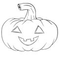 Pumkin isolated on the white background for coloring book