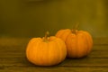 Pumkin or pumkin stillife on old wooden background. Autumn stillife dark tone.