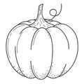 Pumkin scketch. Doodle style. Line art. Royalty Free Stock Photo