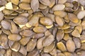 Pumkin seeds close up