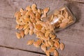 Pumkin seeds pile Royalty Free Stock Photo