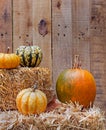 Pumkin and Squash on Straw bales