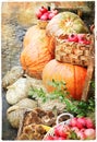 Pumkins in market Vintage picture Royalty Free Stock Photo